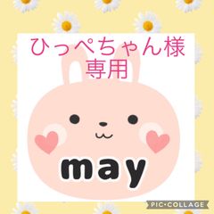 ひっぺちゃん様専用　ビジョントレーニング