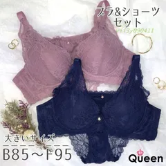 大きいサイズレディース ブラジャー ショーツセット 下着 B85 B90 C90 F90 E95 D90 D95 C85 F85 E90 E80 E85 D85 B95 C95 F80  vii3y090411