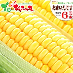 【順次出荷中】 北海道 南幌町産 あまいんです 6本入り とうもろこし 朝採り 甘い トウモロコシ スイートコーン とうきび 野菜 ギフト 贈り物 お祝い 内祝い プレゼント ご家庭用 北海道 グルメ お取り寄せのサムネイル