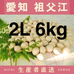 2024年新物 藤九郎 銀杏 生産者直送 祖父江産 ぎんなん 3L 750g