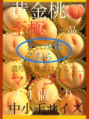 予約商品　８月下旬～9月下旬にかけ順次発送予定　至極の一品。自信あり！濃厚な甘さはマンゴー以上！？黄金に輝く 木成り熟成・黄金桃