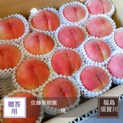 桃 【佐藤果樹園】 品種色々 5kg 13～18個 福島県須賀川市 福島の桃 福島 もも 贈答 プレゼント 《7/上旬～7/中旬より出荷》