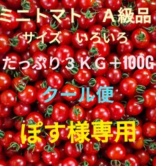 ぽす様専用