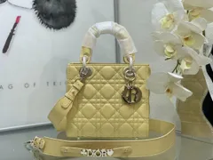 DIOR ディオール ショルダーバッグ-MM輸入