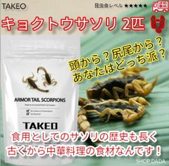 【昆虫スナック】キョクトウサソリ2匹（約3～5cmのサソリが2匹入っております）