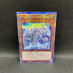 2025年最新】アームドドラゴンlv10 プリズマの人気アイテム