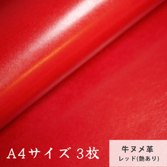 【A4サイズ3枚】国産ヌメ革（たつのレザー） レッド（艶あり）　タンニン鞣し　ハギレ　赤