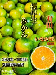 極早生最終！早い者勝ち！特価セール！和歌山　有田　極早生　みかん　10きろ　早い者勝ち　数量限定　セール　特価価格　フルーツ　柑橘
