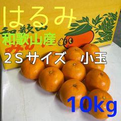 はるみ 2S 小玉 和歌山産 10kg