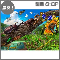 最後1枚！チャールズ・ファジーノ　【マイアミへようこそ！】 Amazon.co.jp: 1,000,000 TIMES: ミュージック