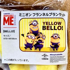 送料無料❗️ミニオン フランネルブランケット