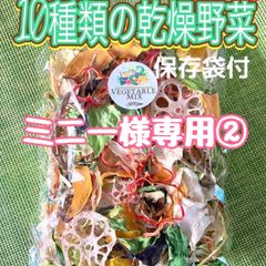 【ミニー様専用②】10種類の乾燥野菜150g