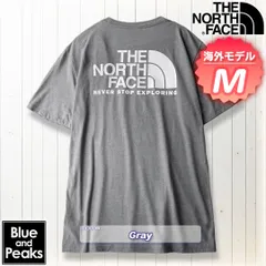 THE NORTH FACE 半袖Tシャツ Throwback Tee, カラー；Gray, サイズ；M