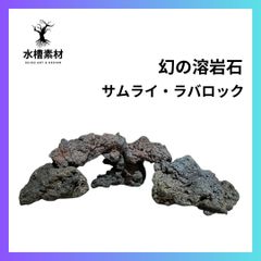 溶岩石 サムライラバロック 5個セット 水槽レイアウト 園芸インテリア