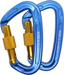 Item thumbnail for item 99768086-aedd-4806-b32f-987924e24e0d