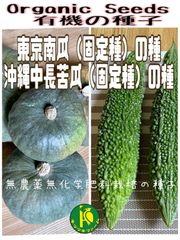 沖縄中長苦瓜のタネ5粒と東京かぼちゃのタネ5粒　有機のタネ