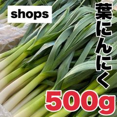 【農家直送】高知県特産‼️葉ニンニク 500g 即購入OK tlRg