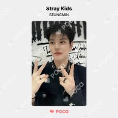 straykids スンミン スキズ トレカ Stray Kids World Tour dominATE SEOUL POP-UP CAFE SKZOO PIN BUTTON & COVER KEYRING SET 公式 トレカ