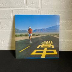 高中正義 - An Insatiable High / レコード【JS】