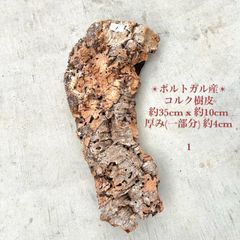 バージンコルク樹皮 ポルトガル産