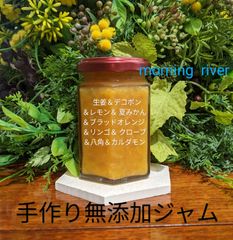 🔥🍊🍎🍋生姜と果物の酢パイシー無添加ジャム（コンフィチュール）