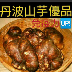 丹波山の芋優品1キロ(山芋)