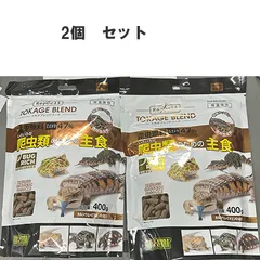 6月セール　限定数　　トカゲブレンドフード 400g×２個のサムネイル