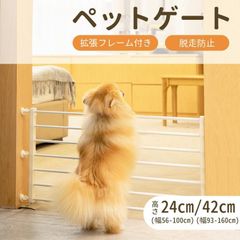 Item thumbnail for item 74327603-7a82-4596-aa9c-3bce39aa0844