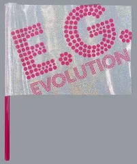 【中古】タペストリー(女性) E-girls フラッグ 「E-girls LIVE 2017～E.G.EVOLUTION～」