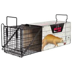 栄ヒルズ 捕獲器 DtypeNO．203 IT-3 イタチ (オス) の 捕獲 捕獲器 畑 農業 農家 野菜 果物 菜園 庭園 動物 農林 仕掛け 罠
