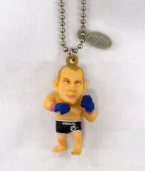 格闘技！レア！PRIDE ヒョードル選手！チャンピオンフィギュア 約15cm 格闘技！レア！PRIDE ヒョードル選手！チャンピオンフィギュア