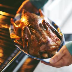 丸鴨 鴨グリラー1.6~1.8Kgｋｇ　 冷凍　Whole Duck