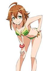 お*す様 Rest# 虹ヶ咲 エマ・ヴェルデ 水着 タペストリー - メルカリ