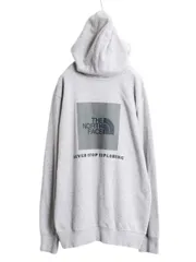 【お得なクーポン配布中!】 US企画 ノースフェイス 両面 プリント スウェット フード パーカー メンズ L / The North Face 裏起毛 プルオーバー トレーナー アウトドア