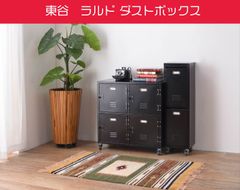 東谷　ロッカー風ラルド ダストボックス　TPN-36　キャスター付き　12リットル×2段