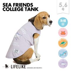【シーフレンズカレッジタンク5-6号】ドッグウェア タンク 中型犬 犬 服 春 夏 生き物 魚 プリント 海 可愛い かわいい おしゃれ 犬の服 ペット服 犬服 ペット グッズ 洋服品 LIFELIKE［返品不可・サイズ交換可］