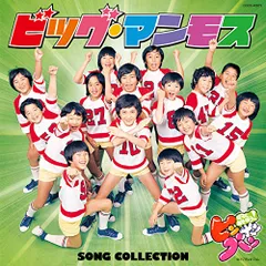 希少 フジテレビ ピンポンパン カータンバッジ LP/12