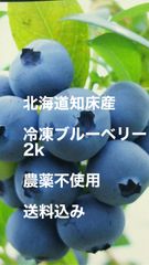 北海道知床産冷凍ブルーベリー2k