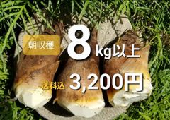 埼玉県産 無農薬 たけのこ もうそう竹 8kg 筍 - メルカリ