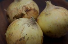 《大人気商品アップ開始》大分県産　新玉ねぎ10kg 訳あり  大容量でこの価格！野菜　送料無料