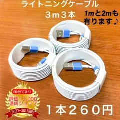 2024年最新】iPhone 充電ケーブル 断線 防止カバー イヤホン 充電器