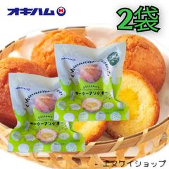 サーターアンダギー シークヮーサーあん入り160g（40g×4）×2袋 沖縄スイーツ 沖縄お菓子 沖縄旅行 沖縄観光 沖縄お土産