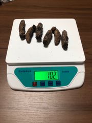 工場直売　関西産　A級品 乾燥赤なまこ  100g6本(計量時102g6本)