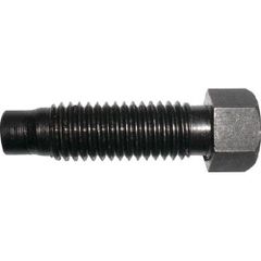 Item thumbnail for item a6f62373-16f6-43b2-972c-0958fb6ed9d6