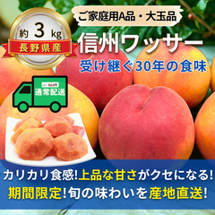 大玉ワッサー〜信州生まれの新食感フルーツ〜【内容量】約3kg【配送方法】通常配送【サイズ】L以上【品目】ワッサー【品種】当店お任せ【産地】長野県【規格】ご家庭用A品【詰め方】フルーツキャップ詰め【配送までの日数】1～4日