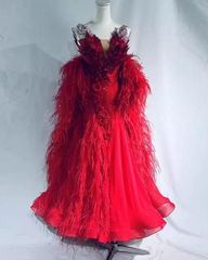 新品未使用 新作 ダンスウェア ラテンダンス 舞台 発表会 ダンス衣装 社交ダンス オーダーメイド　★色変更可能 社交ダンス衣装　スタンダードドレス 　羽フロート