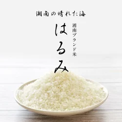 はるみ米　湘南の米　入手困難な米　2kg