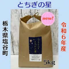 新米栃木産とちぎの星無洗米10kg※量減りません！！
