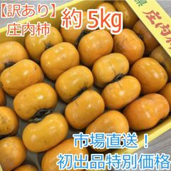 ＊初出品記念価格＊【訳あり】庄内柿　約5㎏