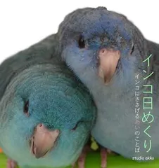 2024年最新】さざなみインコの人気アイテム - メルカリ